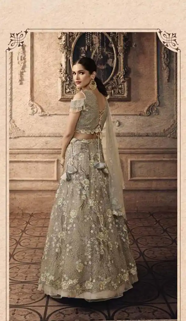 Grey Color Net Designer Mehendi Sangeet Wear Lehenga Choli -633178917