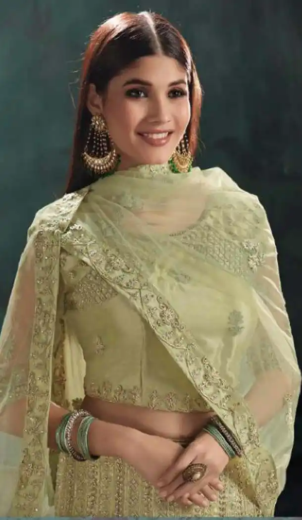 Light Green Color Mono Net Designer Fancy Lehenga Choli -454664751