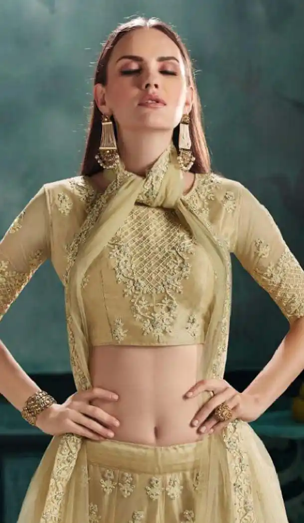 Cream Color Mono Net Designer Fancy Lehenga Choli -454664755