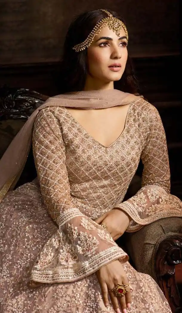 Light Brown Color Net Designer Style Wedding Wear Salwar Kameez -637679780