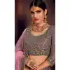 Grey Color Net Heavy Designer Embroidery Women Lehenga Choli