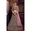 Grey Color Net Heavy Designer Embroidery Women Lehenga Choli