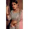 Vivacious Grey Color Net Heavy Designer Embroidery Women Lehenga Choli