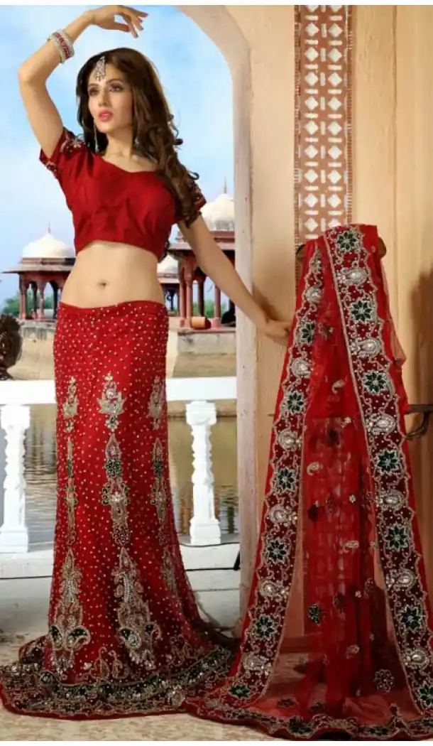Adorable Bick Red Wedding Lehenga Choli