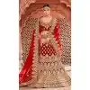 designer embroidered bridal lehenga choli