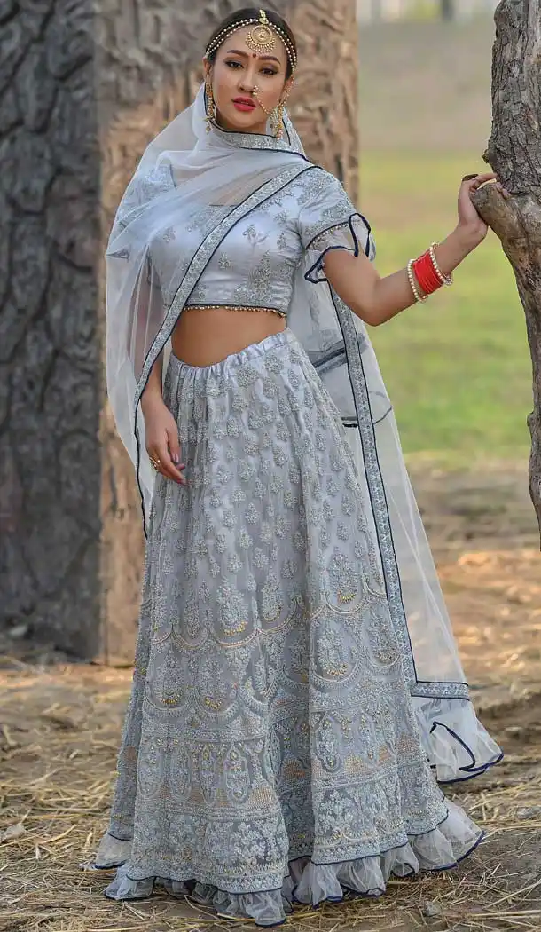 Silver Color Soft Net Designer Sangeet Party Wear Lehenga Choli -718789125