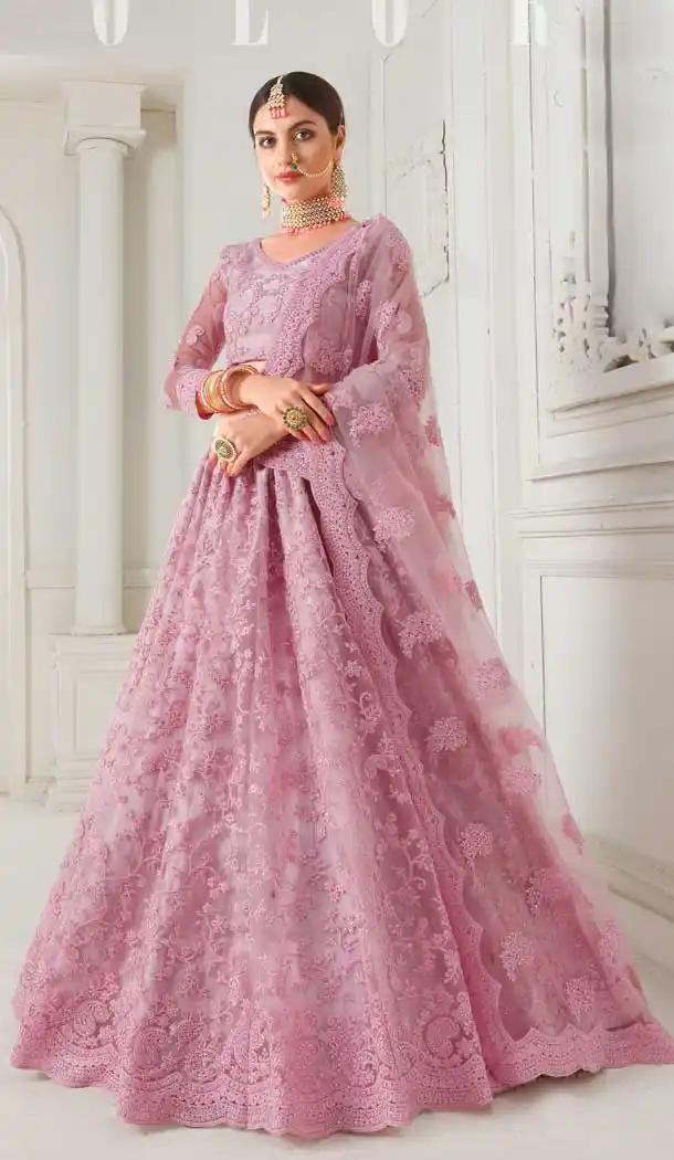 Light Pink Color Net Designer Embroidred Plus Size Lehenga Choli -742591828