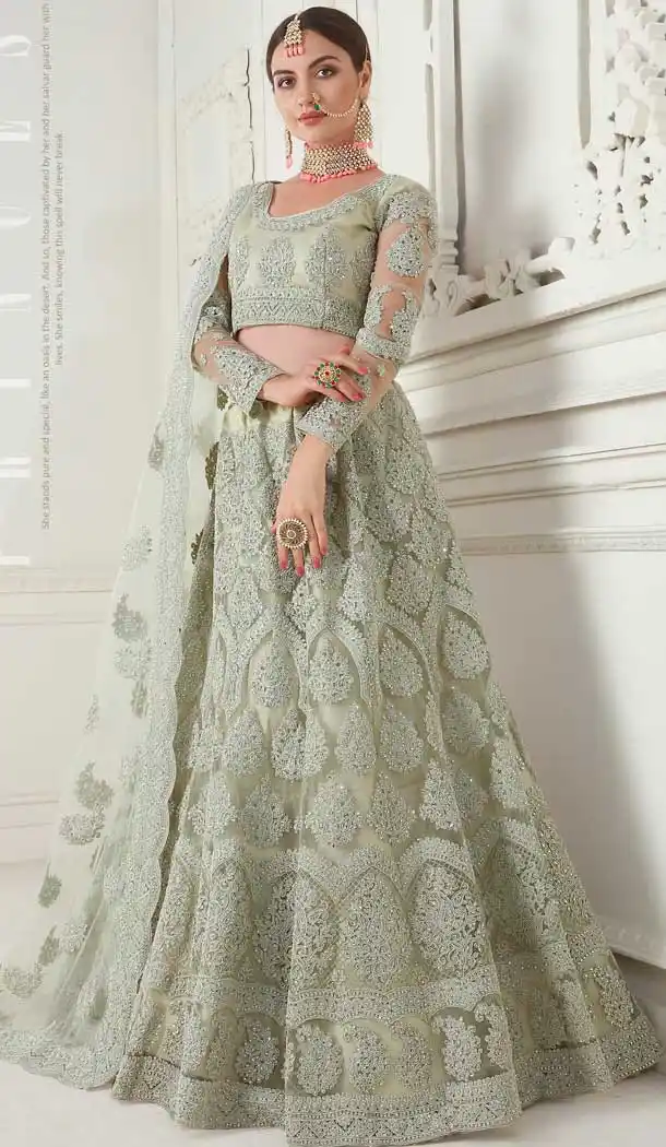 Mint Green Color Net Designer Embroidred Plus Size Lehenga Choli -742591832