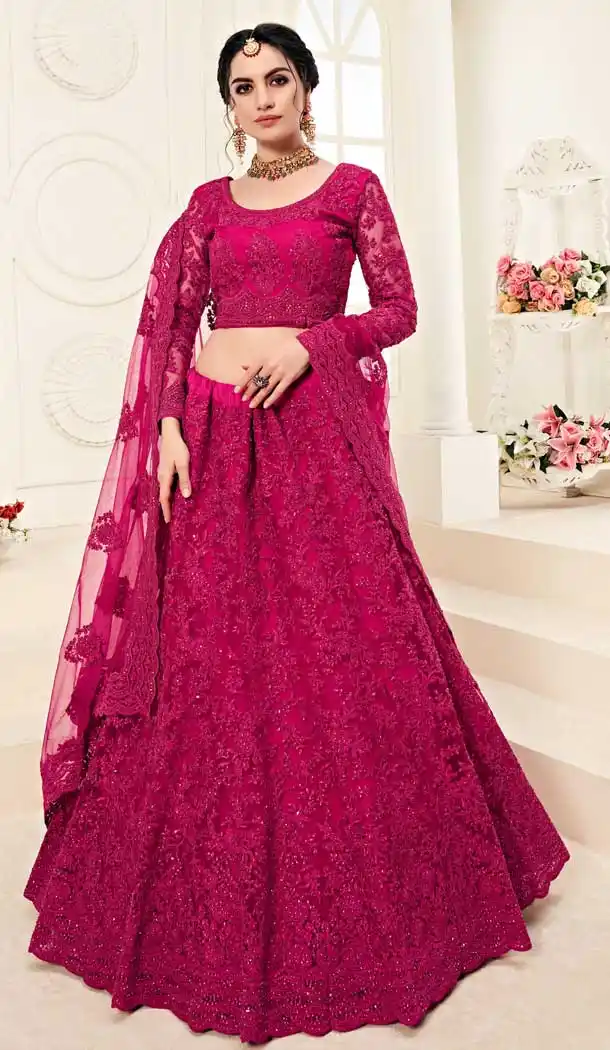 Rani Pink Color Net Designer Embroidred Plus Size Lehenga Choli -742591838