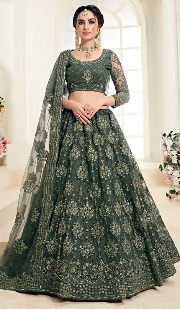 Mehendi Green Color Net Designer Embroidred Plus Size Lehenga Choli -742591841
