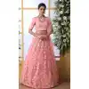 Lehenga Choli: Buy Lehenga Choli Online Shopping USA