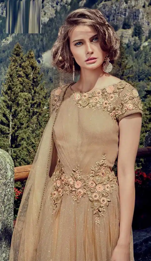 Exotic Beige Color Net Georgette Designer Party Gown Dresses -EV544171660