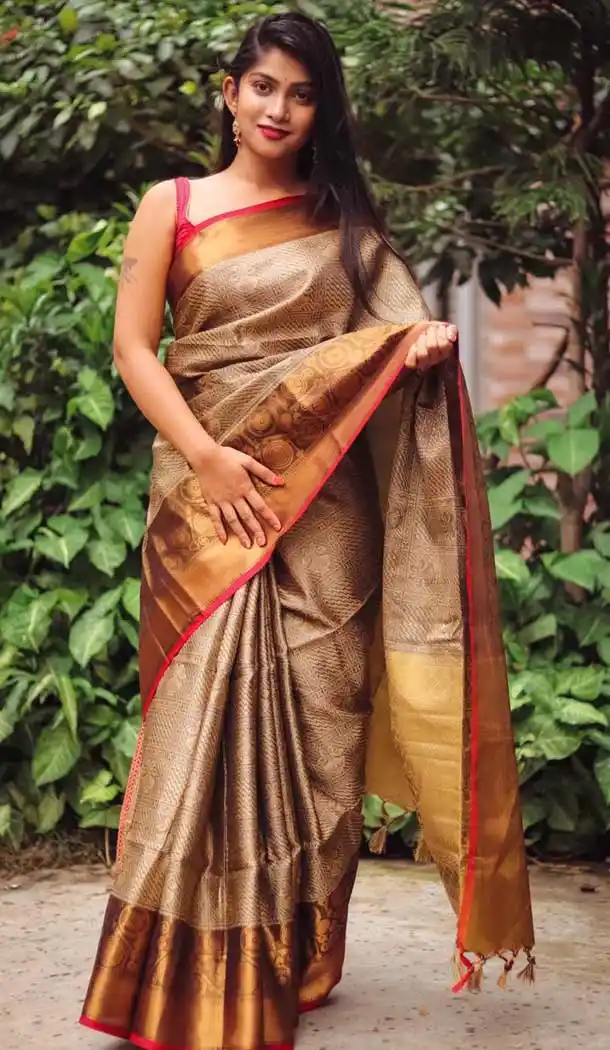 Brown Color Silk Blend Casual Wear Saree Blouse -EV547371885