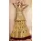Golden With Brown Color Net Designer Pakistani Style Lehenga Suit -fz6655364