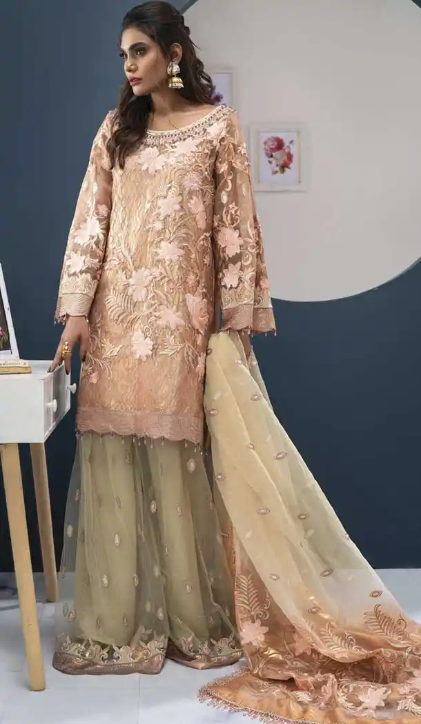 Multi Color Georgette Party Wear Pakistani Designer Salwar Kameez -799797630