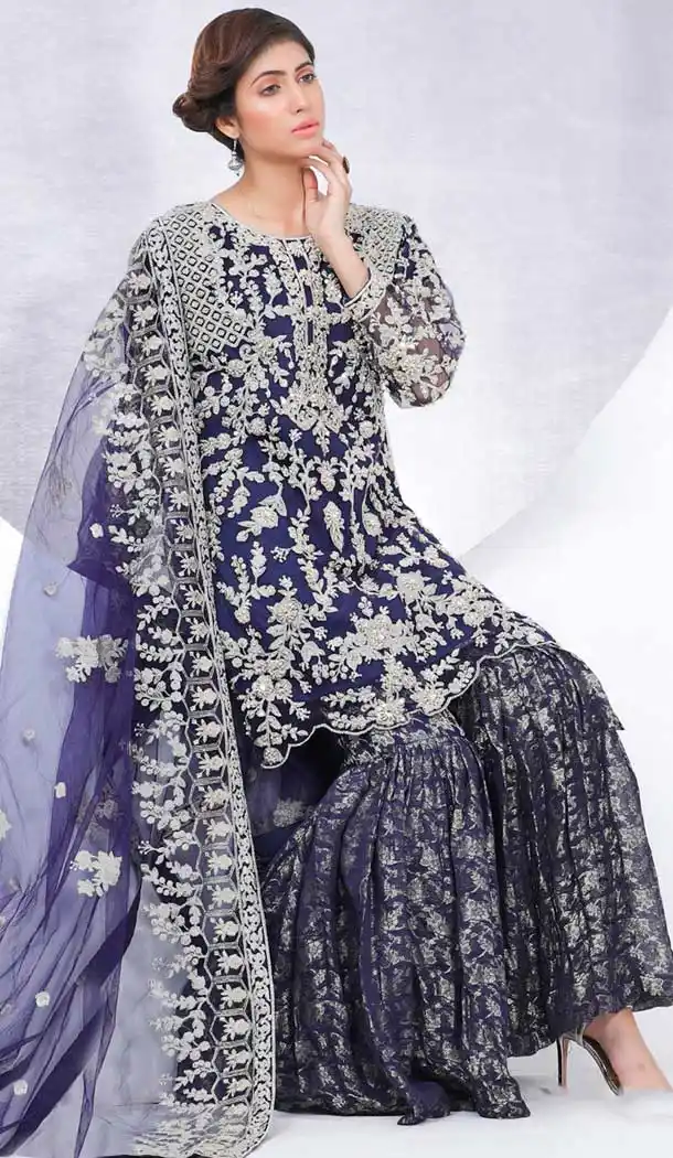 Blue Color Butter Fly Net Party Wear Pakistani Designer Salwar Kameez -799797636