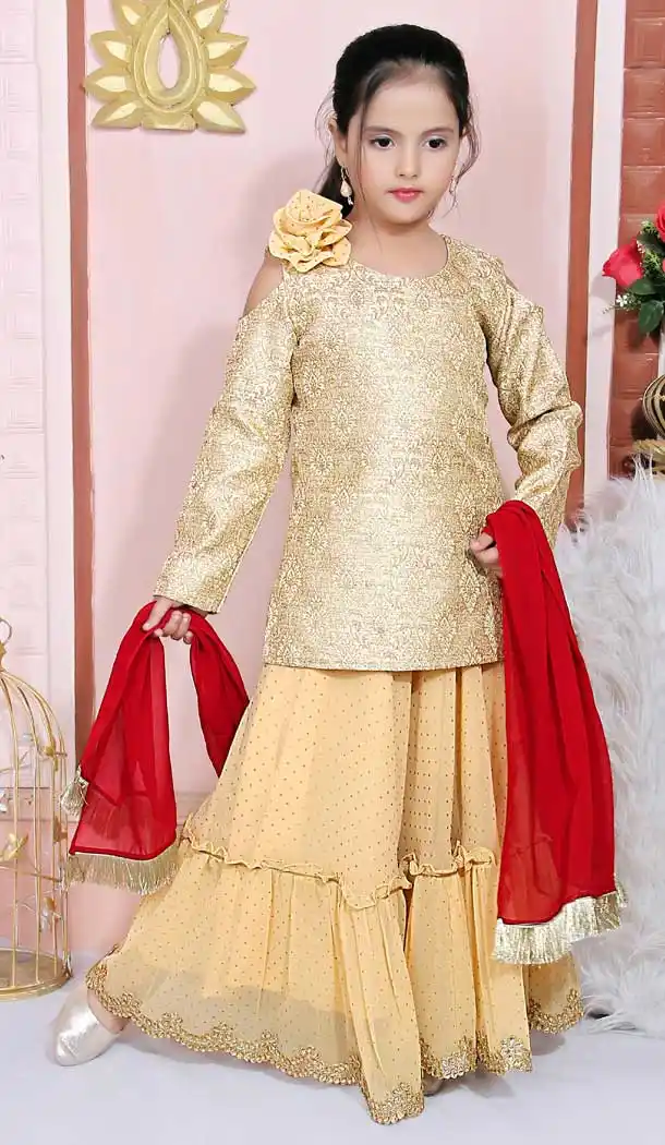girl dress for brother marriage lehenga -8423101814