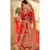 red wedding lehenga choli bridal online shopping -8737104663