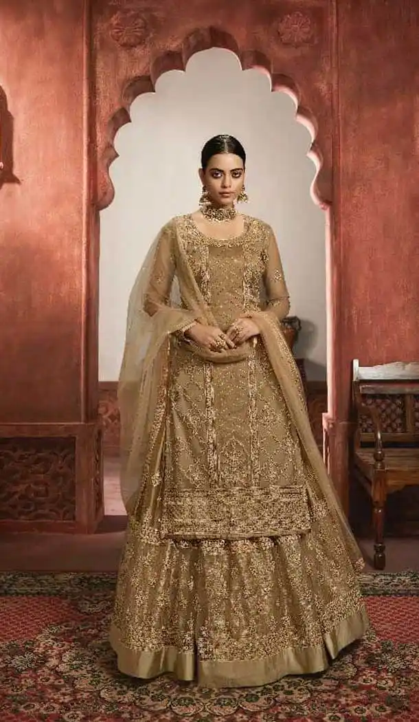 plus size pakistani lehenga dresses usa -9434111204