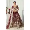 butterfly net designer plus size lehenga choli show -9647113246