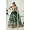 butterfly net crop top blouse designs for plus size lehenga -9647113247