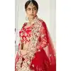 designer butterfly net plus size lehenga choli without dupatta -9647113248