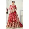 designer butterfly net plus size lehenga choli without dupatta -9647113248