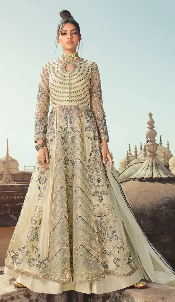 Light Grey Color Butterfly Net Designer Party Wear Indo Western Salwar Suit -9795115211