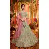 pure organza bridal choli design -115118126
