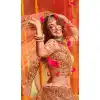 pure organza bridal lehenga long choli -115118127