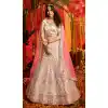 pure organza bridal lehenga choli pinterest -115118130