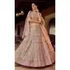 bridal trendy plus size lehengas -108118075