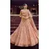 plus size bridal chaniya choli in ahmedabad -108118081