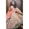 bridal mehendi lehenga delhi online -536122032