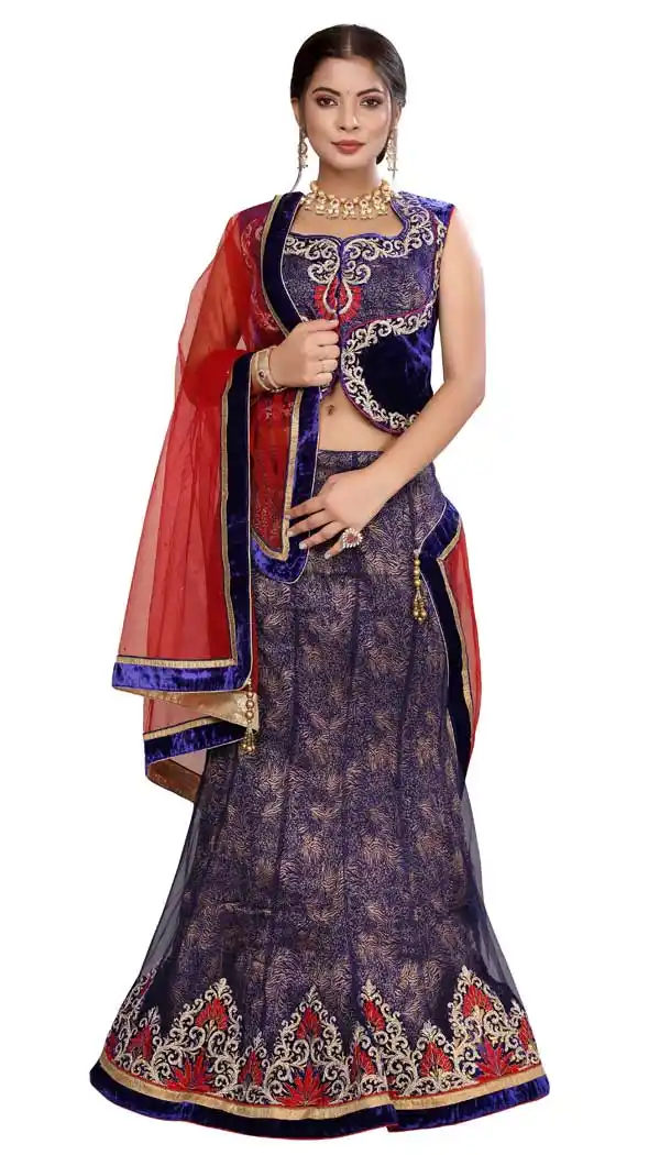Blue Color Net Embroidery Designer Traditional Party Wear Lehenga Choli -88977635