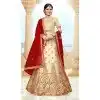 latest bridal lehenga choli in pakistan -736124131