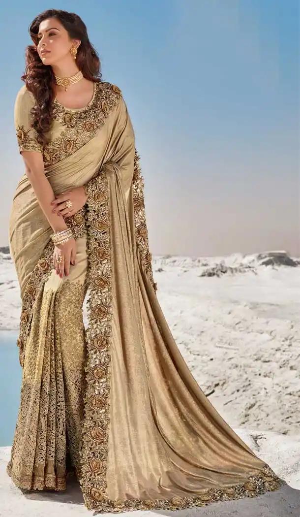 Chiku Color Digital Net Fancy Designer Bridal Party Wear Saree -969126223
