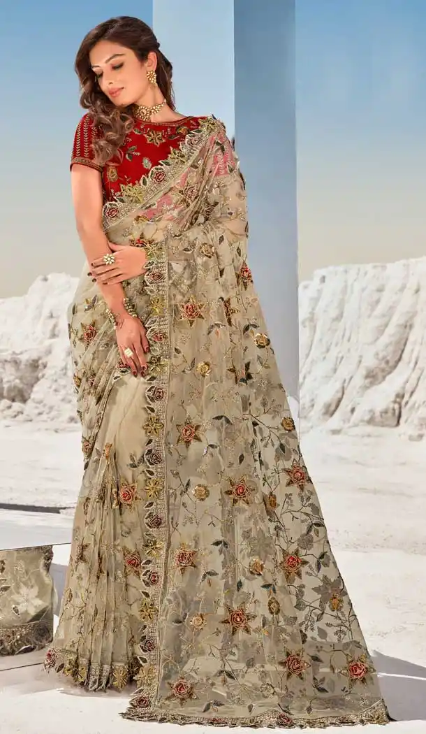 Chiku Color Digital Net Fancy Designer Bridal Party Wear Saree -969126229