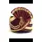 Cream & Maroon Color Velvet Mens Readymade Wedding Groom Turban -1140127760