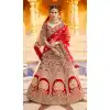 Red Color Velvet Heavy Designer Bridal Wedding Wear Lehenga Choli -1503130655