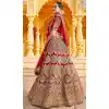 Sun Shine Red Color Velvet Heavy Designer Bridal Wedding Lehenga Choli -1503130656