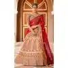 Ravishing Red Color Velvet Heavy Designer Bridal Wedding Lehenga Choli -1503130660