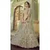 Pista Color Soft Net Designer Sangeet Wear Lehenga Choli -1749132777