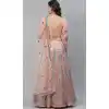 Peach Color Net Heavy Designer Party Wear Women Lehenga Choli -1798133270