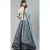 Grey Color Net Heavy Designer Party Wear Women Lehenga Choli -1798133271