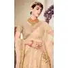 Beige Color Net Heavy Embroidered Work Wedding Lehenga Choli -1859133945