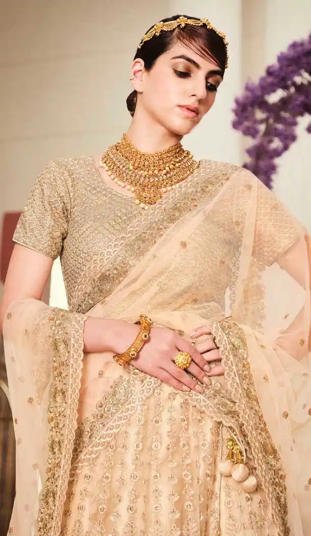 Beige Color Net Heavy Embroidered Work Wedding Lehenga Choli -1859133945