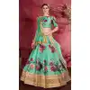 Sea Green Color Raw Silk Digital Printed Party Wear Women Lehenga Choli -1878134113
