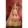 Peach Color Raw Silk Digital Printed Party Wear Women Lehenga Choli -1878134114