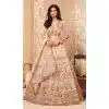 Lovely Cream Color Net Designer Wedding Reception Wear Lehenga Choli -1887134171